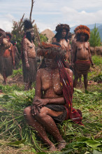 Tribeswoman with traditional clothing during Baliem valley festival, West Papua