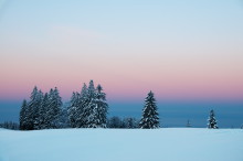 Early winter morning in the black forest