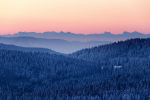 black forest before sunrise