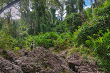 Masoala national park, Madagascar