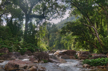 Masoala national park, Madagascar